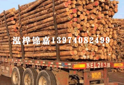 聯(lián)系我們